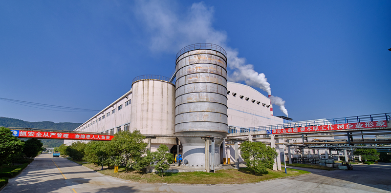 廠區(qū)主干道